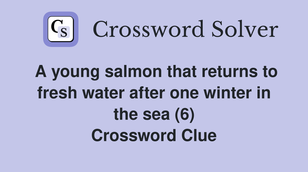 A young salmon that returns to fresh water after one winter in the sea